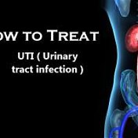 How To Treat Urinary Tract Infection?