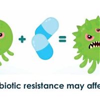 Know About Antibiotic Resistance